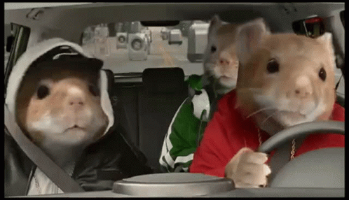 road-trip